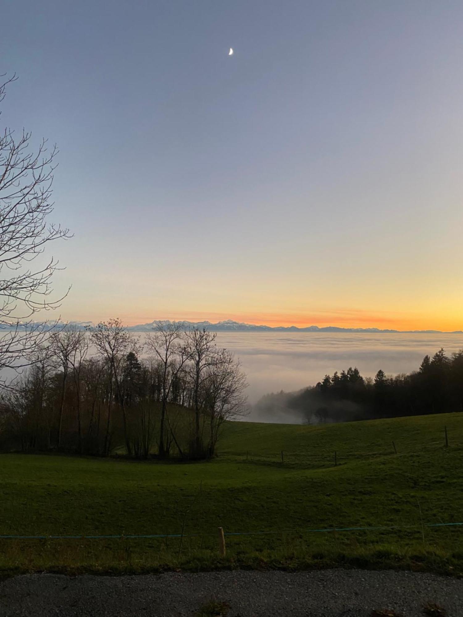 Tevenon Vue Panoramique Alpes-Lac Grandevent Eksteriør billede